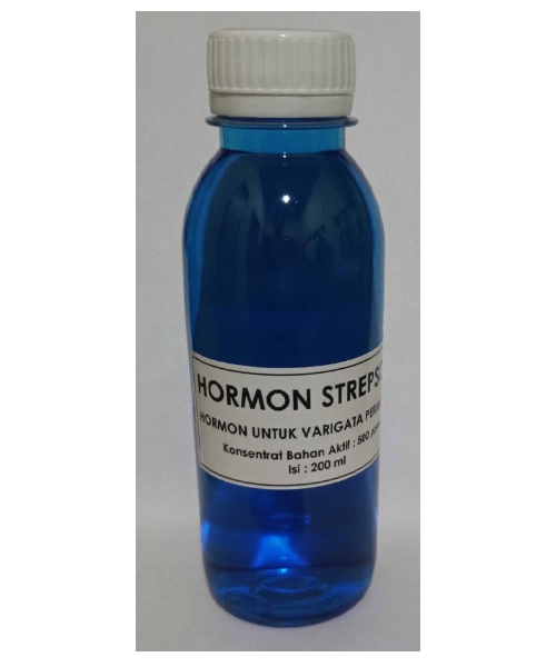Hormon Strepson bei Tokopedia