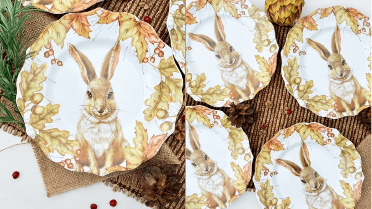 S4 Salatteller – Mazey Chloe The Jack Rabbit